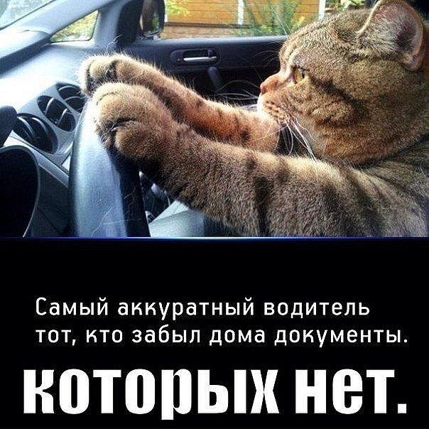 Автоприколы</p> <p>