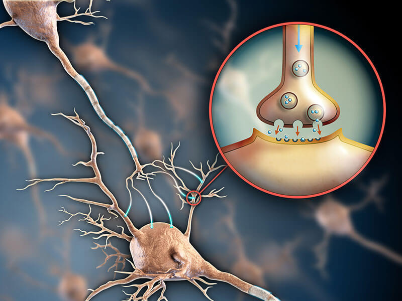 content_6_serotonin__econet_ru