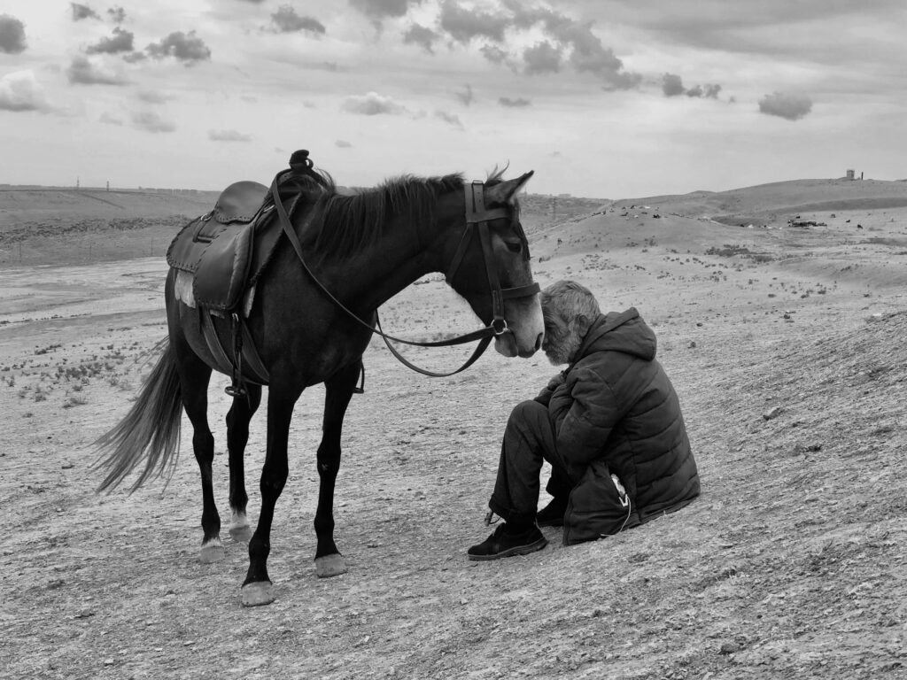 1 место в номинации "Фотограф года", снято на iPhone X