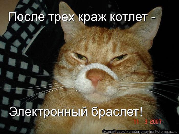 Лучшие котоматрицы</p> <p>