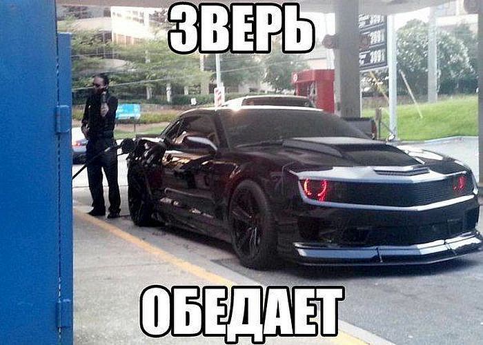 Автоприколы</p> <p>