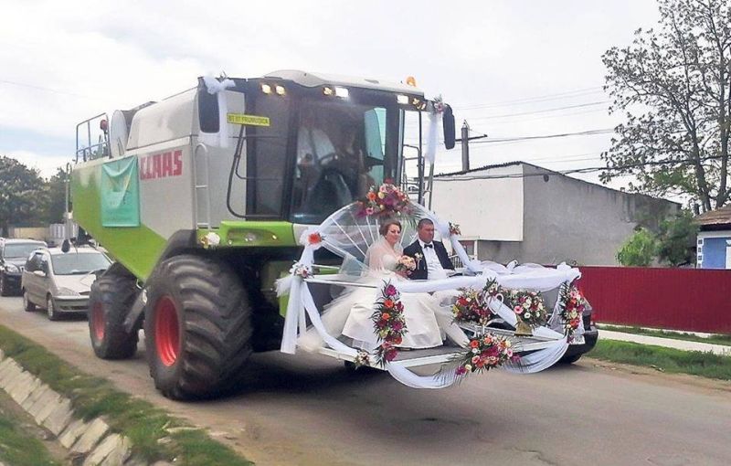 У меня появилась новая любимая авиакомпания (ассорти)