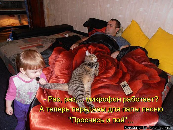 Лучшие котоматрицы</p> <p>