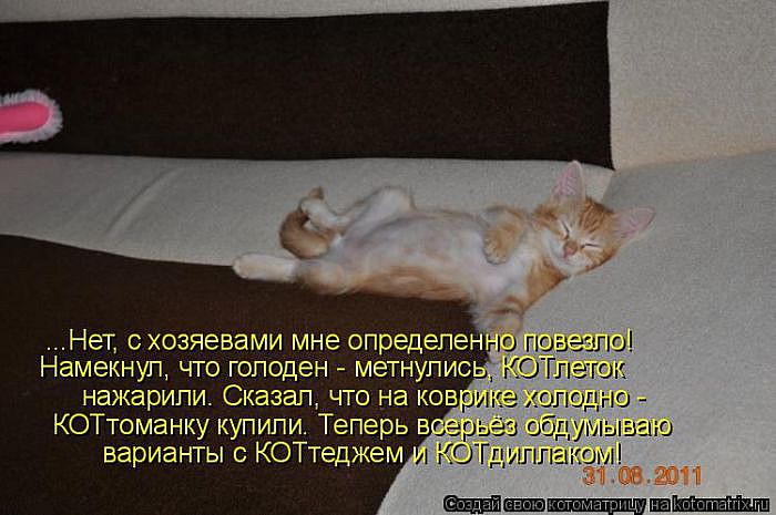 Лучшие котоматрицы