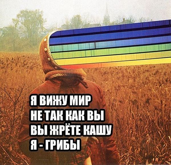 Фотоподборка дня</p> <p>